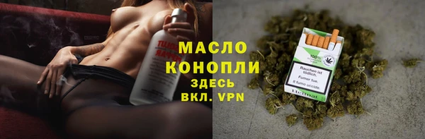 стаф Козловка