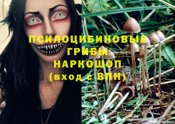 марки nbome Кинешма