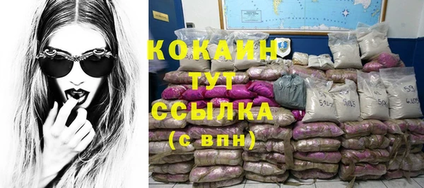 СК Касимов