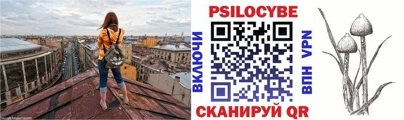 Псилоцибиновые грибы Psilocybe  это как зайти  Кимры  продажа наркотиков 